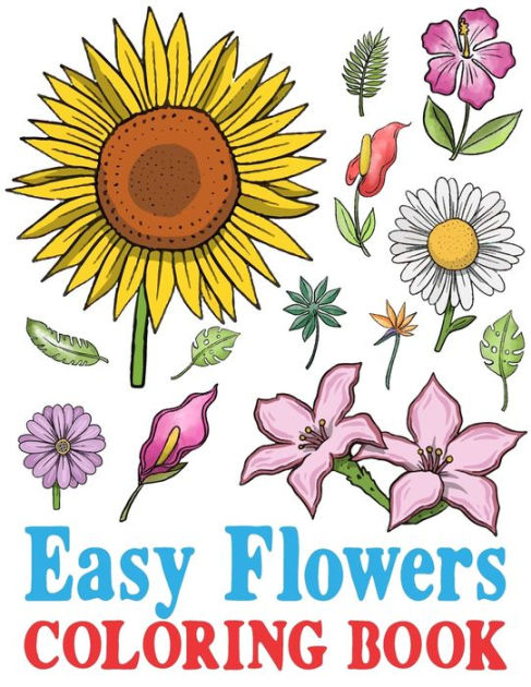 Big Coloring Book of Large Print Designs: Easy and Relaxing Coloring Pages  with Simple Illustrations, Dementia Coloring Book For Seniors and Elderly  (Large Print / Paperback)