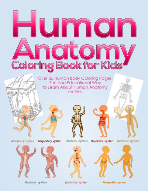 anatomy for kids coloring pages