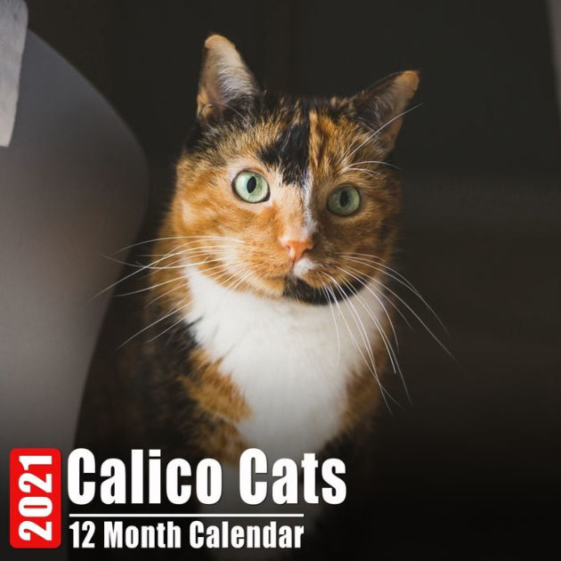 Calendar 2021 Calico Cats Cute Calico Cat Photos Monthly Mini Calendar