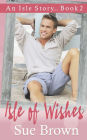 Isle of Wishes: an opposites attract/gay romance