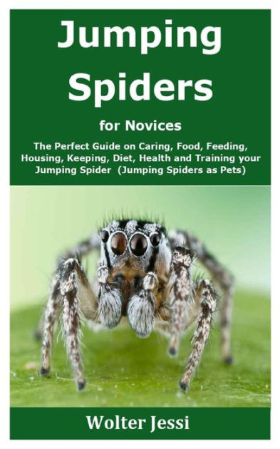 Jumping Spiders for Novices: The Perfect Guide on Caring ...