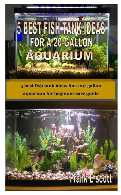 5 BEST FISH TANK IDEAS FOR A 20-GALLON AQUARIUM: 5 best fish tank