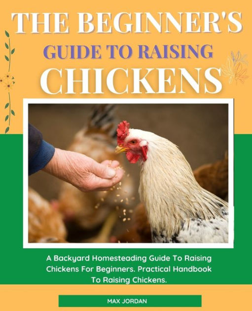 The Beginner's Guide To Raising Chickens: A Backyard Homesteading Guide ...