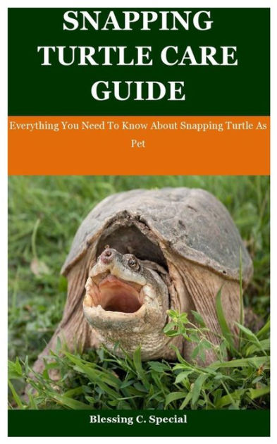 Snapping Turtle Care Guide Everything You Need To Know About Snapping