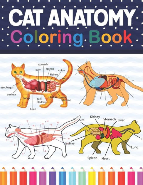 Cat Anatomy Coloring Book: Cat Anatomy Coloring Book for Kids & Adults