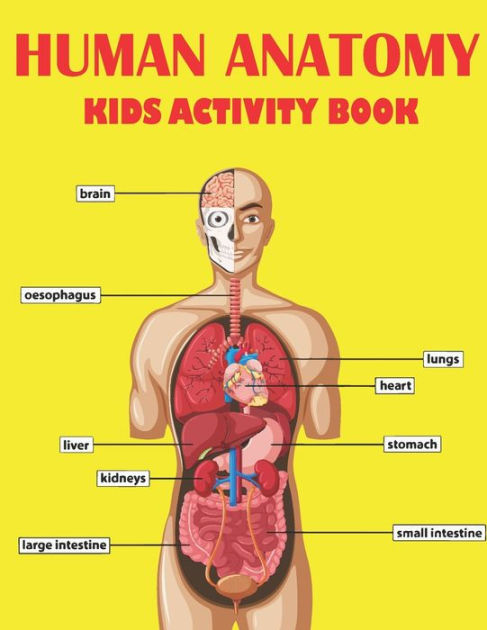 Human Anatomy Kids Activity Book Amazing Human Anatomy Kids Activity