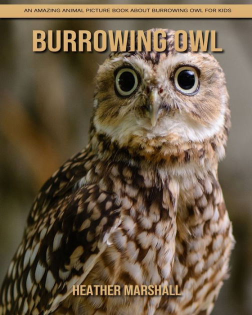 Burrowing Owl An Amazing Animal Picture Book about Burrowing Owl for