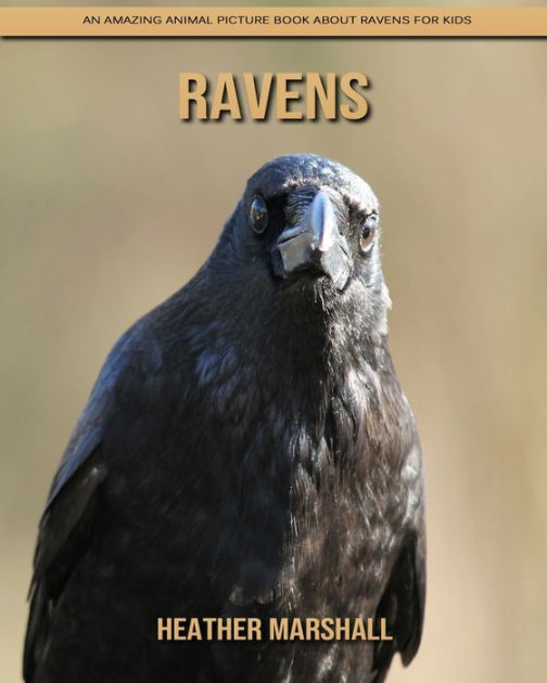 Ravens An Amazing Animal Picture Book about Ravens for Kids by Heather Marshall, Paperback