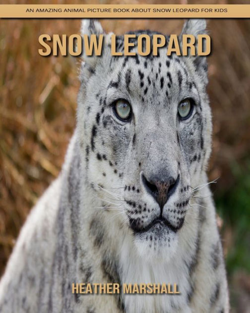 Snow Leopard An Amazing Animal Picture Book about Snow Leopard for