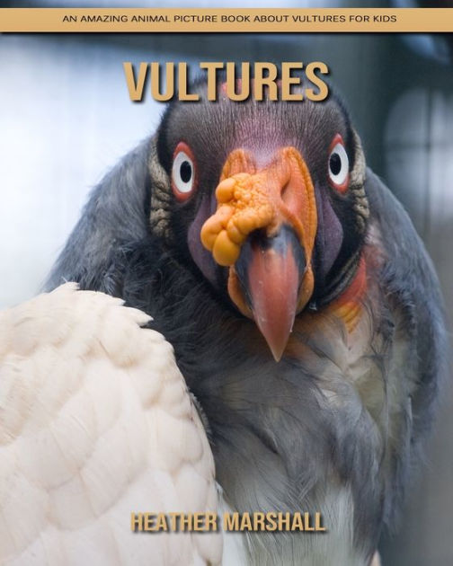 Vultures An Amazing Animal Picture Book about Vultures for Kids by