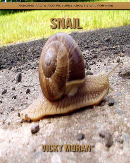 Snail Amazing Facts and Pictures about Snail for Kids by Vicky Moran, Paperback Barnes & Noble®