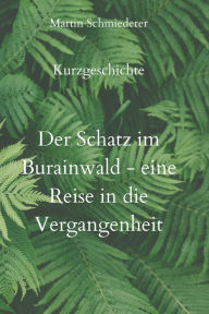 Title: Der Schatz im Burainwald - eine Reise in die Vergangenheit, Author: Martin Schmiederer