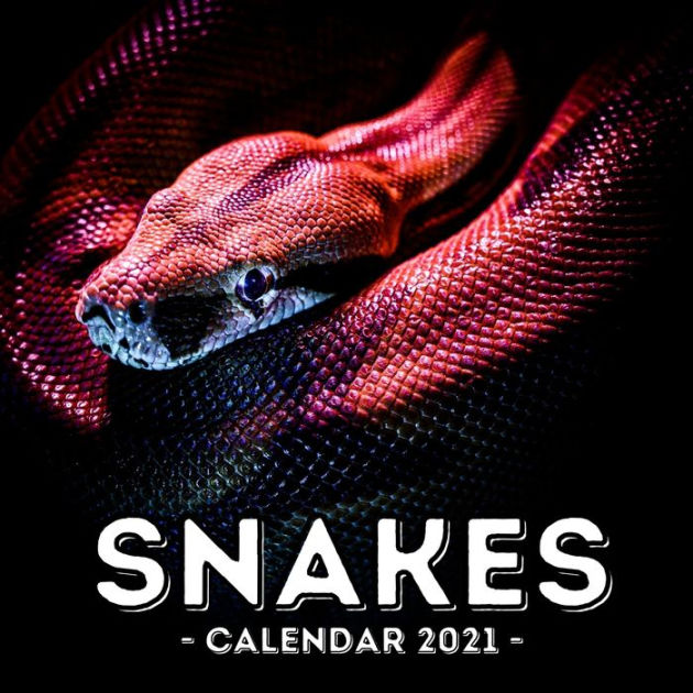 Snake Calendar 2021 16Month Calendar, Cute Gift Idea For Snake Lovers