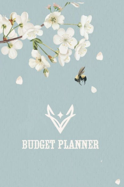 Budget Planner: Monthly Financial Organizer & Calendar Income, Expense, Bill, Savings, Subscription & Debt Tracker undated Budgeting