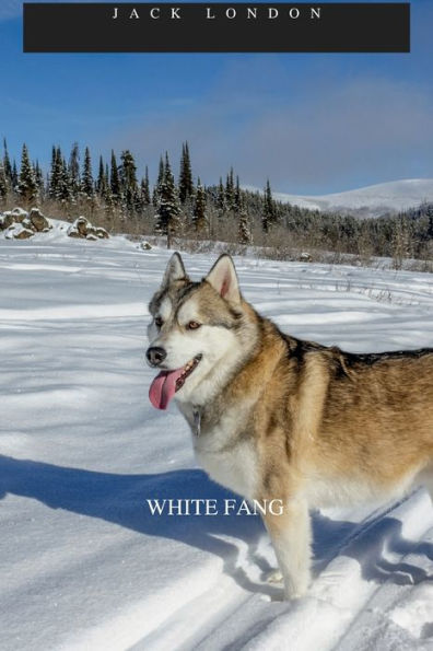 WHITE FANG