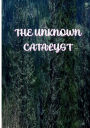 The Unknown Catalyst