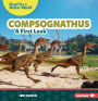 Compsognathus: A First Look