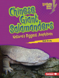 Title: Chinese Giant Salamanders: Nature's Biggest Amphibian, Author: Walt Brody