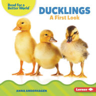 Title: Ducklings: A First Look, Author: Anna Anderhagen