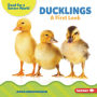 Ducklings: A First Look