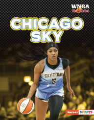 Title: Chicago Sky, Author: Josh Anderson