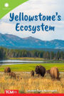 Yellowstone's Ecosystem