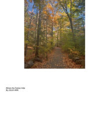 Title: Where the Fairies Hide, Author: Julie Cunningham