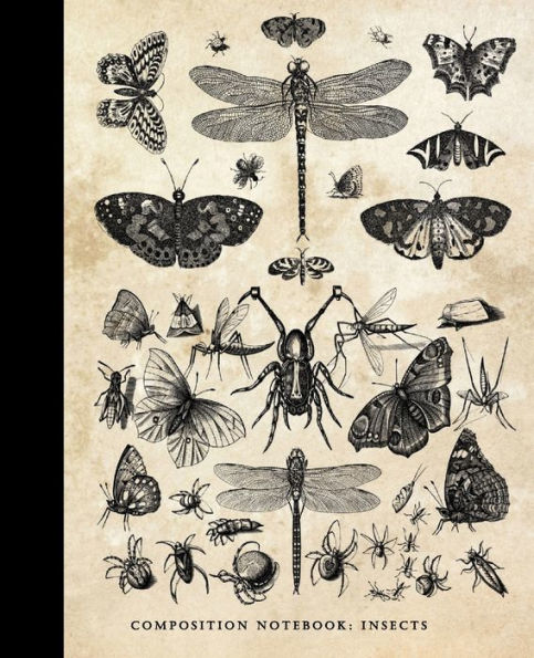 Composition Notebook: Insects:Vintage Entomology Cover: Wide Ruled Journal