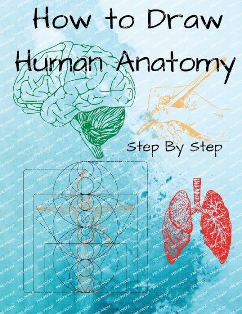How to Draw Human Anatomy: Step By Step by Acquabela Digital Art