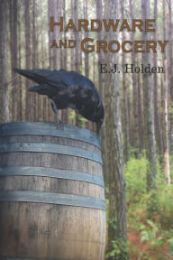 Title: Hardware and Grocery: Outside the Ruins, Author: E.J. Holden