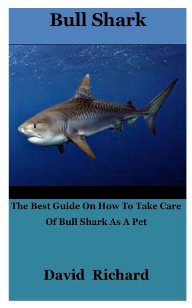 bull-shark-the-best-guide-on-how-to-take-care-of-bull-shark-as-a-pet