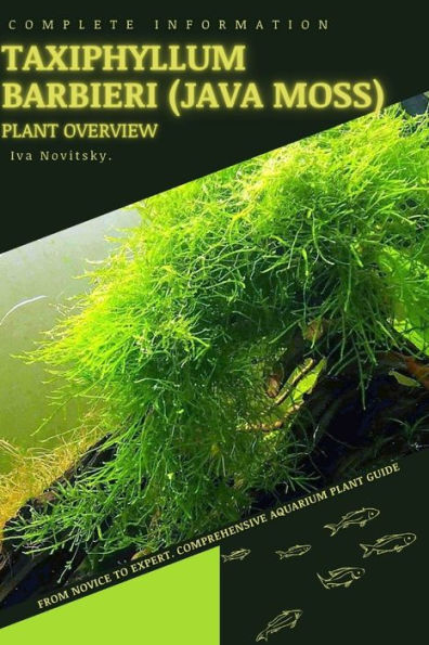 Taxiphyllum Barbieri (Java Moss): From Novice to Expert. Comprehensive Aquarium Plants Guide