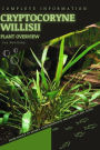 Cryptocoryne Willisii: From Novice to Expert. Comprehensive Aquarium Plants Guide
