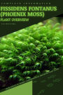 Fissidens fontanus (Phoenix Moss): From Novice to Expert. Comprehensive Aquarium Plants Guide