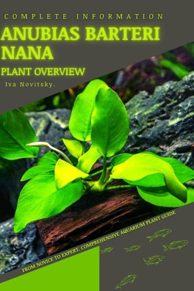 Anubias barteri nana: From Novice to Expert. Comprehensive Aquarium Plants Guide
