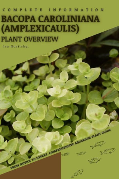 Bacopa Caroliniana (amplexicaulis): From Novice to Expert. Comprehensive Aquarium Plants Guide