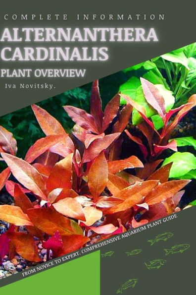 Alternanthera Cardinalis: From Novice to Expert. Comprehensive Aquarium Plants Guide