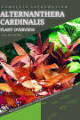 Alternanthera Cardinalis: From Novice to Expert. Comprehensive Aquarium Plants Guide