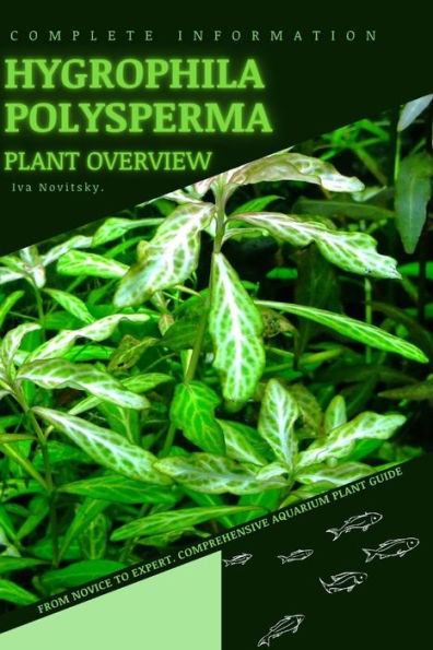 Hygrophila Polysperma: From Novice to Expert. Comprehensive Aquarium Plants Guide