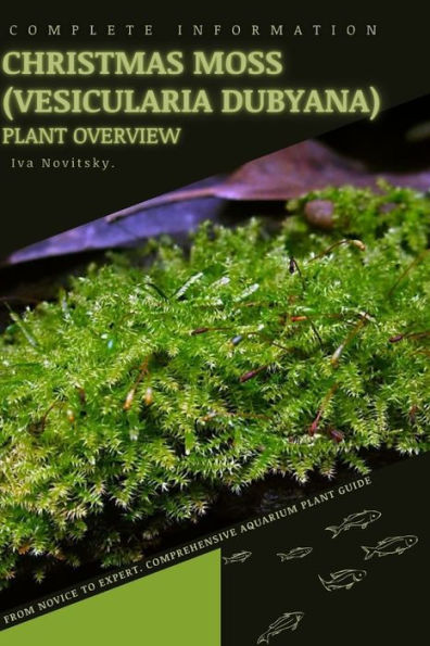Christmas Moss (Vesicularia dubyana): From Novice to Expert. Comprehensive Aquarium Plants Guide