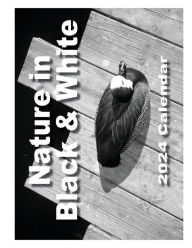 Title: Nature in Black & White 2024 Wall Calendar, Author: Paul Hamel