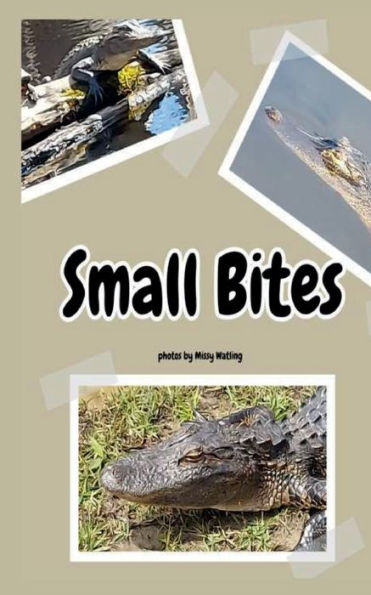 Small Bites: An alligator notebook with 100 numbered pages for writing