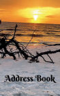 Address book: Stunning Sunset and Driftwood on the Beach