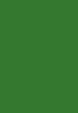Large Lined Journal Notebook (Green), 600 Pages 6inches x 9inches - 50lb Paper