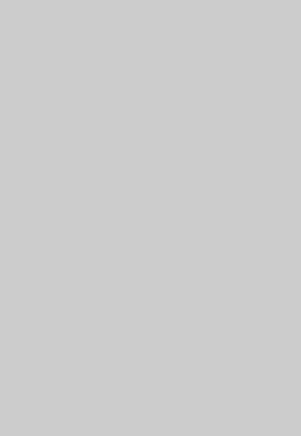Large Lined Journal Notebook (Gray), 600 Pages 6inches x 9inches - 50lb Paper