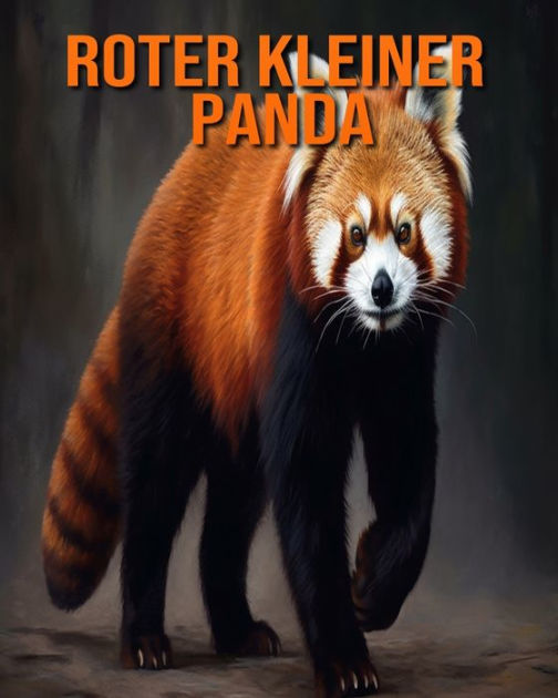 Roter kleiner Panda: Buch mit erstaunlichen Fotos und lustigen Fakten für  Kinder : Hession, Kathi: : Books