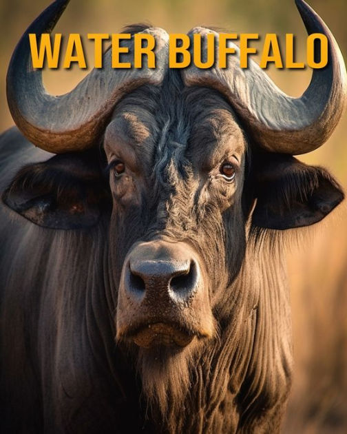 Water Buffalo Fun Facts Book for Kids by Nicole Oberski, Paperback