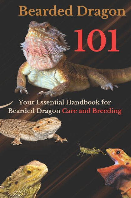 Bearded Dragon Care 101