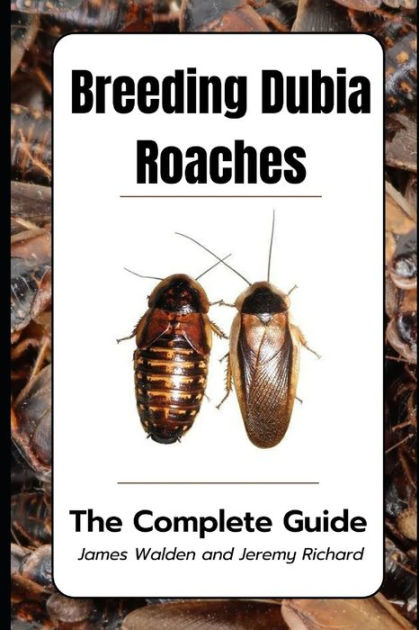 Breeding Dubia Roaches: The Complete Guide By Jeremy Richard, James 