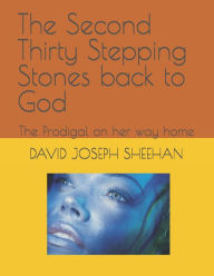 Title: The Second Thirty Stepping Stones back to God: The Prodigal on her way home, Author: DAVID JOSEPH SHEEHAN